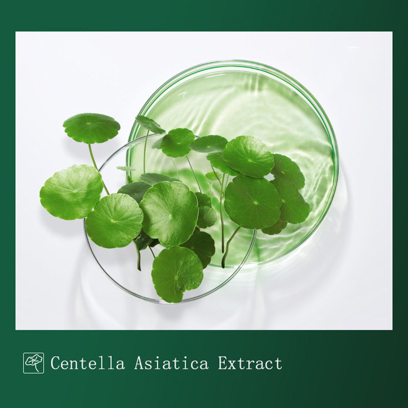 Маска грязевая Centella для гл – обзор и цена Dust Mask Construction